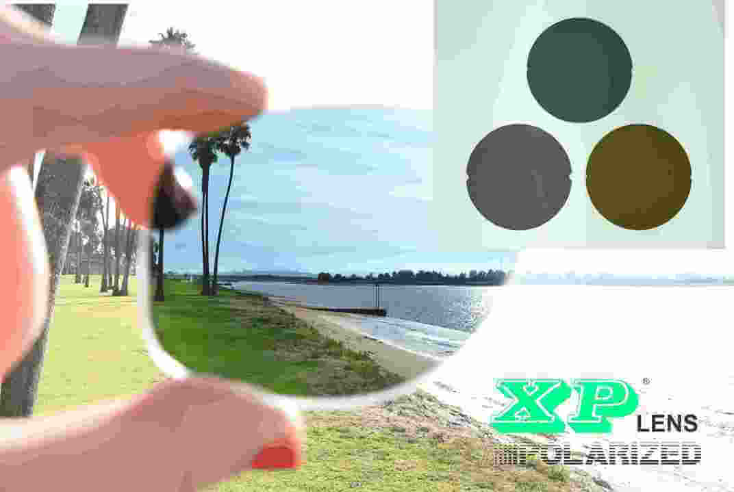 Polarized phân cực Polarized phân cực